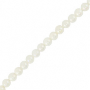 Schelp kralen rond White