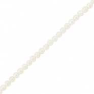 Schelp kralen rond White