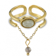 Roestvrij stalen (RVS) Stainless steel ringen met natuursteen Gold-greenish grey