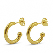 Roestvrij stalen (RVS) Stainless steel oorbellen / oorstekers Gold