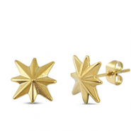 Roestvrij stalen (RVS) Stainless steel oorbellen / oorstekers ster Gold