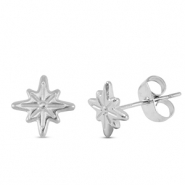 Roestvrij stalen (RVS) Stainless steel oorbellen / oorstekers ster Silver