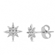 Roestvrij stalen (RVS) Stainless steel oorbellen / oorstekers ster Silver