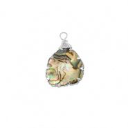Resin hangers met imitatie schelp irregular Silver-ocean green
