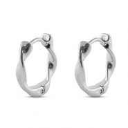 Roestvrij stalen (RVS) stainless steel oorbellen Silver