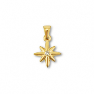 Roestvrij stalen (RVS) Stainless steel hangers ster Gold