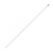 DQ metalen nietstiften met bolletje 50mm Antiek zilver (nikkelvrij)