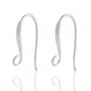 Onderdelen DQ metaal oorbellen / oorhangers Antiek zilver (nikkelvrij)