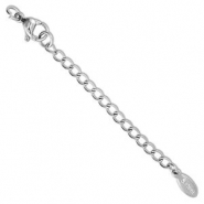 Roestvrij stalen (RVS) stainless steel onderdelen verlengketting set ovaal met karabijnslot Silver