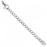 Roestvrij stalen (RVS) stainless steel onderdelen verlengketting set ovaal met karabijnslot Silver