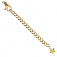 Roestvrij stalen (RVS) stainless steel onderdelen verlengketting set ster met karabijnslot Gold