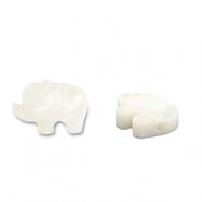 Schelp kralen olifant White (natuurlijke kleur schelp)