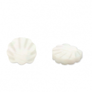 Schelp kralen sint jacobsschelp White (natuurlijke kleur schelp)