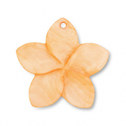 Schelp hanger bloem Orange