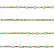 Roestvrij stalen (RVS) Stainless steel onderdelen jasseron 1mm Gold-mint turquoise