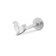 Roestvrij stalen (RVS) Stainless steel oorpiercing blad Silver