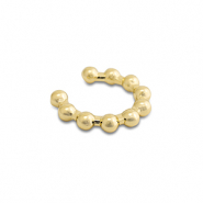 Roestvrij stalen (RVS) Stainless steel oorbellen ear cuff Gold