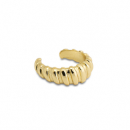 Roestvrij stalen (RVS) Stainless steel oorbellen ear cuff Gold