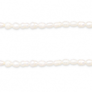 BQ Zoetwaterparels rice 6x4mm Natural white