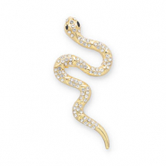Broches slang Gold-transparent-black