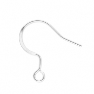 Roestvrij stalen (RVS) Stainless steel onderdelen oorbellen / oorhanger met oogje Silver