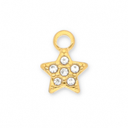 Roestvrij stalen (RVS) Stainless steel bedels ster met strass Gold-transparent