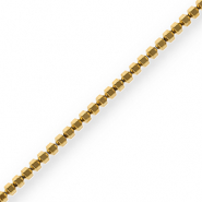 Hematite kralen hexagon Gold
