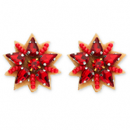 Trendy oorbellen / oorstekers ster Red-silver-brown