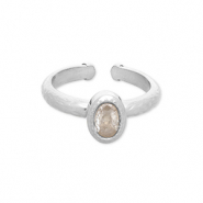 Roestvrij stalen (RVS) Stainless steel ringen Silver-transparent