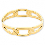 Roestvrij stalen (RVS) Stainless steel armbanden Gold