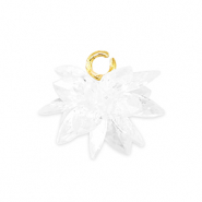 Zirkonia bedels bloem Transparent