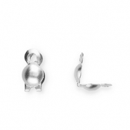 Roestvrij stalen (RVS) Stainless steel onderdelen kalotjes 2mm Silver