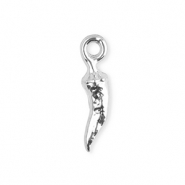 Roestvrij stalen (RVS) Stainless steel bedels chili peper Silver