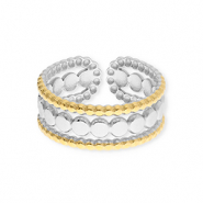Roestvrij stalen (RVS) Stainless steel ringen Silver-gold