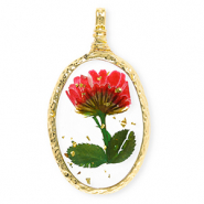 Bedels met gedroogde bloemetjes ovaal Gold-red-green