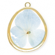 Bedels met gedroogde bloemetjes ei-vormig Gold-light blue