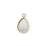 Roestvrij stalen (RVS) Stainless steel bedel schelp druppel Gold-white (natuurlijke kleur)