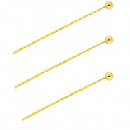 BY31® Roestvrij stalen (RVS) Stainless steel onderdelen nietstiften met bolletje 35mm Gold