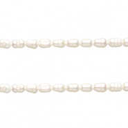 BQ Zoetwaterparels rice 6x5 mm Natural white