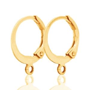 DQ metaal oorringen 12mm Gold