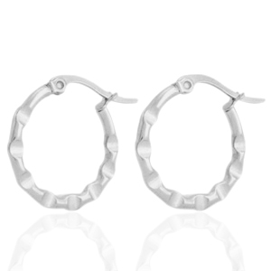 Roestvrij stalen (RVS) Stainless steel oorbellen creolen Zilver