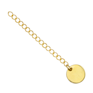 Roestvrij stalen (RVS) stainless steel onderdelen verlengketting coin 10mm Goud
