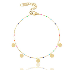 Roestvrij stalen (RVS) Stainless steel enkelbandjes muntjes regenboog Goud-multicolour