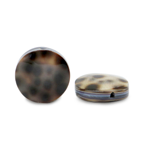 Schelp kralen 15mm Brown beige