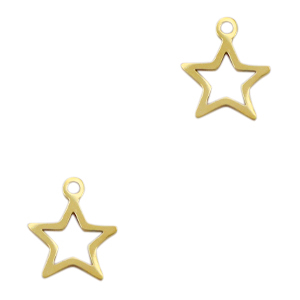 Roestvrij stalen (RVS) Stainless steel bedels ster Goud
