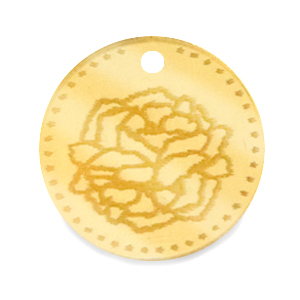 Plexx bedels 20mm Birth flower January-Carnation Gold