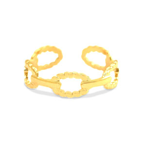 Roestvrij stalen (RVS) Stainless steel ringen Goud