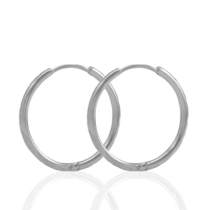 Roestvrij stalen (RVS) Stainless steel oorbellen creolen 19mm Silver