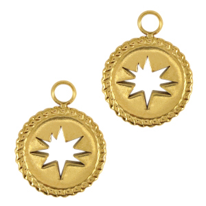 Roestvrij stalen (RVS) Stainless steel bedels ster Goud