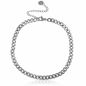 Roestvrij stalen (RVS) Stainless steel enkelbandjes schakel Zilver